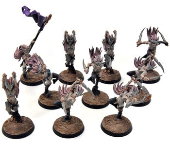 DAUGHTERS OF KHAINE 10 Witch Elves #1 WELL PAINTED Sigmar