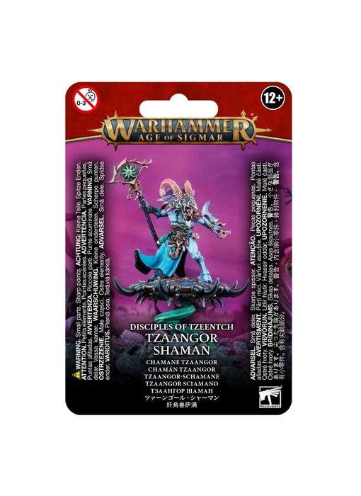 Tzaangor Shaman