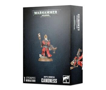 Adepta Sororitas Canoness