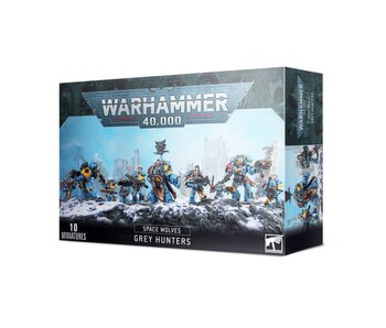 Space Wolves Grey Hunters
