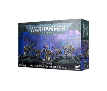 Paladin Squad / Grey Knights Terminators