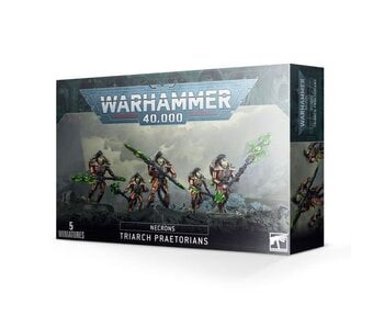 Triarch Praetorians / Lychguard