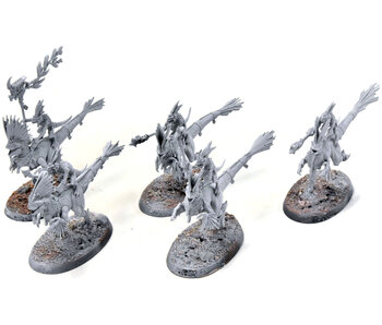 SERAPHON Raptadon Chargers #2 Sigmar