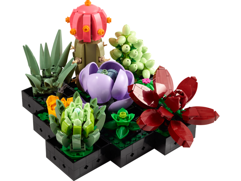 LEGO LEGO Succulents (10309)