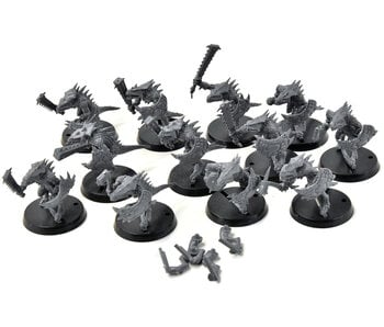 SERAPHON 12 Saurus Warriors #1 Sigmar