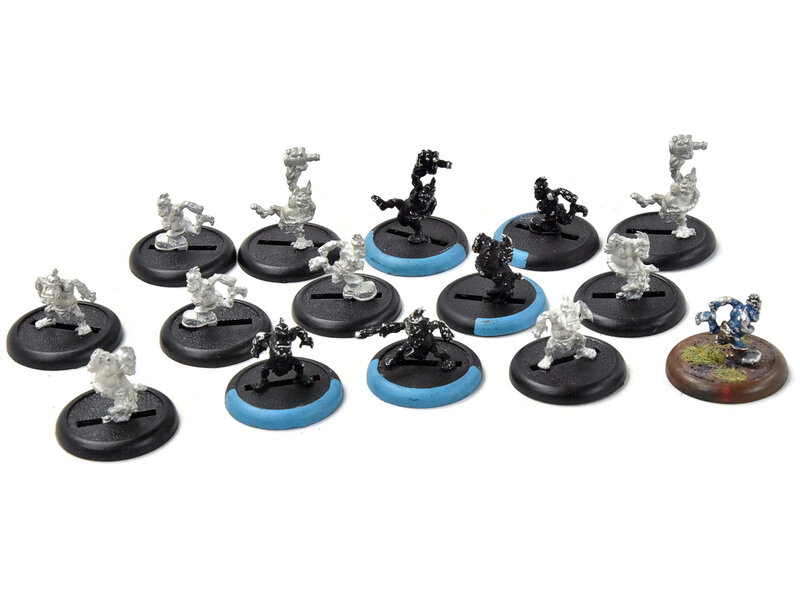 HORDES 15 Whelp #1 METAL trollblood