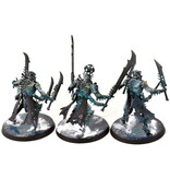 Games Workshop OSSIARCH BONEREAPERS 3 Necropolis Stalkers #1 WELL PAINTED Sigmar
