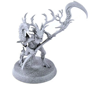 SYLVANETH Branchwych #2 Sigmar