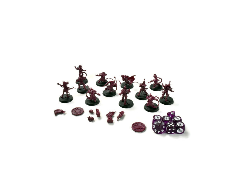 Games Workshop DUNGEON BOWL College of Shadow Team with Dice #1