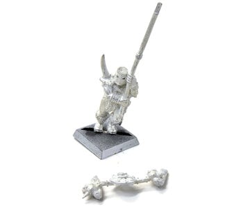 DAEMONS OF CHAOS Marauder Chaos Warrior Standard #1 METAL Fantasy