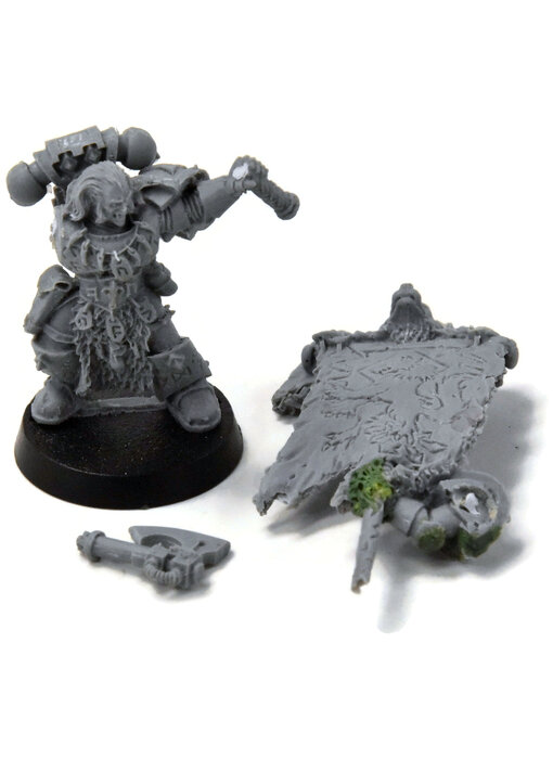 SPACE WOLVES Grey Hunter with Wolf Standard #1 BROKEN 40K FINECAST