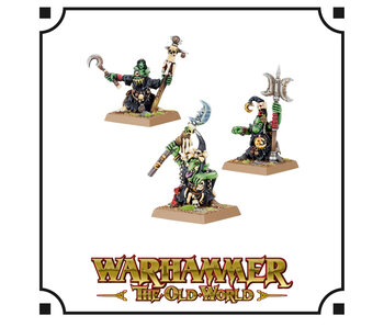 Orc & Goblin Tribes Night Goblin Shamans