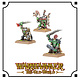 Orc & Goblin Tribes Goblin Bosses