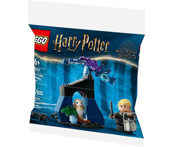 LEGO Draco in the Forbidden Forest™ (30677)