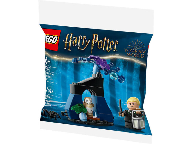 LEGO LEGO Draco in the Forbidden Forest™ (30677)