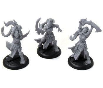 WARMACHINE 3 Warwitch Coven #1 orgoth sea raiders