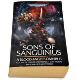 Games Workshop BLACK LIBRARY Sons of Sanguinius Used Ok Condition Warhammer 40K