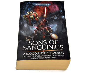 BLACK LIBRARY Sons of Sanguinius Used Ok Condition Warhammer 40K