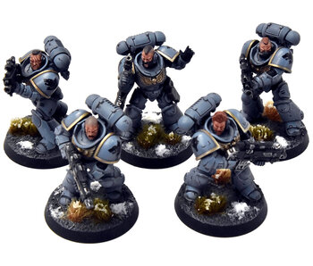 SPACE WOLVES 5 Intercessors #1 PRO PAINTED Warhammer 40K