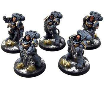 SPACE WOLVES 5 Heavy Intercessors #1 PRO PAINTED Warhammer 40K