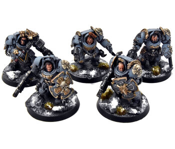SPACE WOLVES 5 Wolf Guard Terminators #1 PRO PAINTED Warhammer 40K