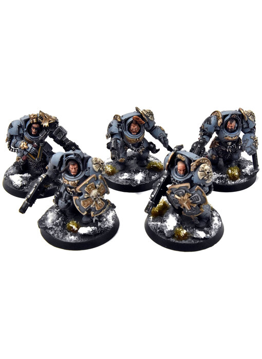 SPACE WOLVES 5 Wolf Guard Terminators #1 PRO PAINTED Warhammer 40K