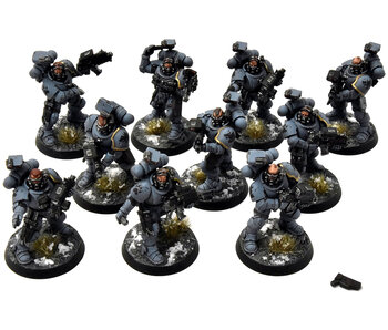 SPACE WOLVES 10 Incursors #1 PRO PAINTED Warhammer 40K