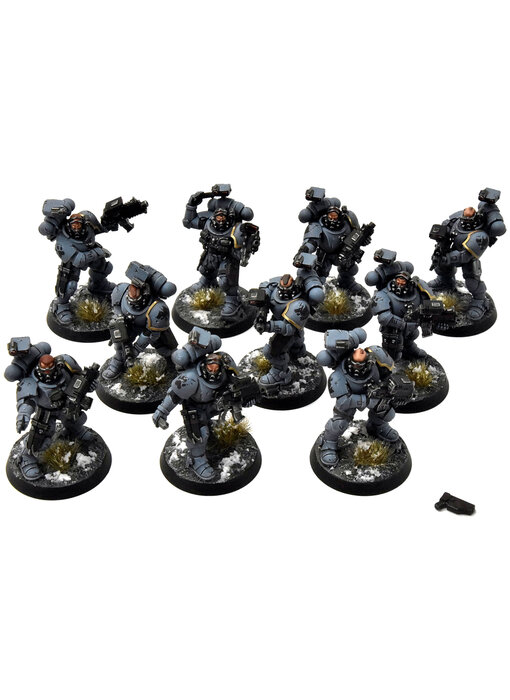 SPACE WOLVES 10 Incursors #1 PRO PAINTED Warhammer 40K