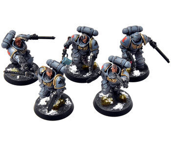 SPACE WOLVES 5 Assault Intercessors #2 PRO PAINTED Warhammer 40K