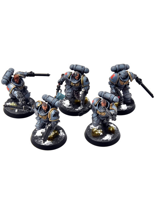 SPACE WOLVES 5 Assault Intercessors #2 PRO PAINTED Warhammer 40K