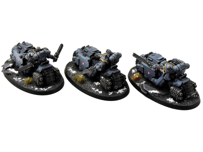 Games Workshop SPACE WOLVES 3 Outriders #1 PRO PAINTED Warhammer 40K