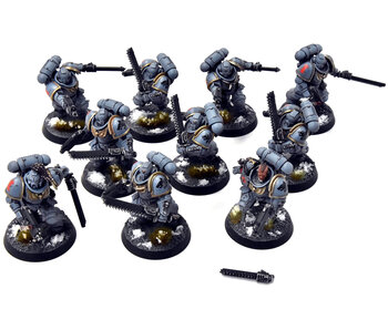 SPACE WOLVES 10 Assault Intercessors #1 PRO PAINTED Warhammer 40K