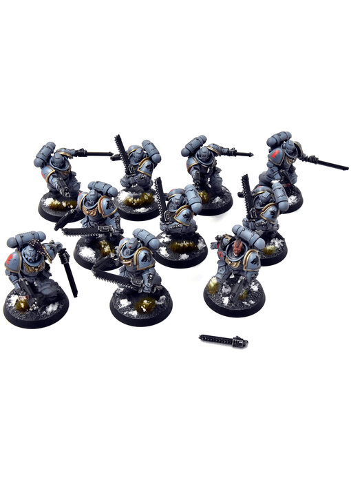 SPACE WOLVES 10 Assault Intercessors #1 PRO PAINTED Warhammer 40K