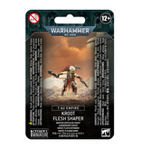 Games Workshop Tau Empire Kroot Flesh Shaper
