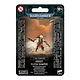 Tau Empire Kroot Flesh Shaper