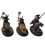 Games Workshop STORMCAST ETERNALS 3 Evocators On Celestial Dracolines #2 WELL PAINTED Sigmar