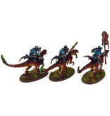 Games Workshop SERAPHON 3 Aggradon Lancers #1 PRO PAINTED Sigmar