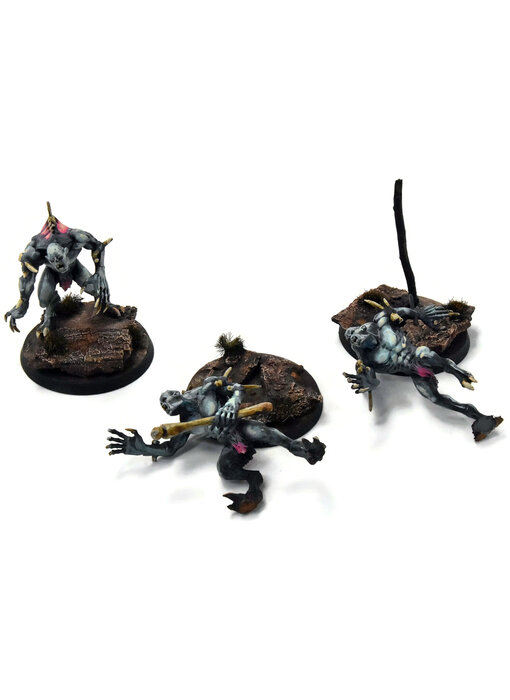 FLESH EATER COURTS 3 Crypt Horrors #2 WELL PAINTED Sigmar