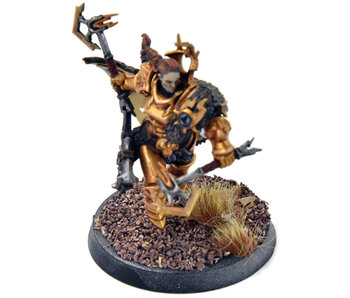 STORMCAST ETERNALS Neave Blacktalon #1 WELL PAINTED Sigmar