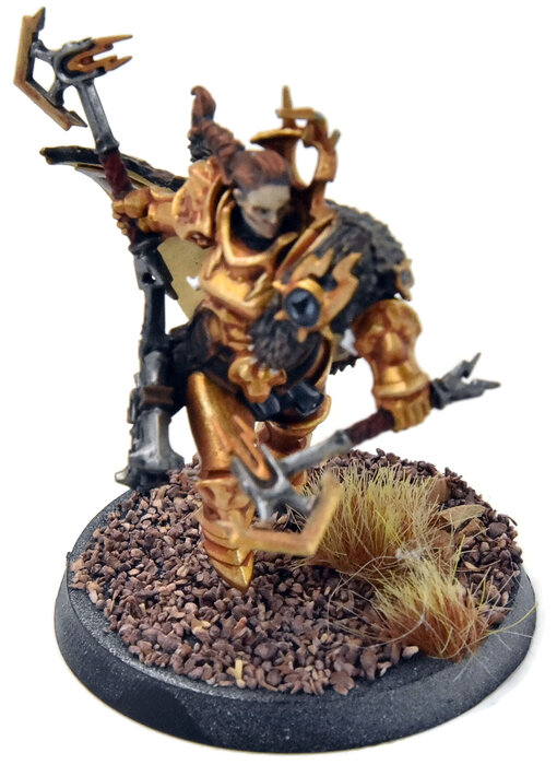 STORMCAST ETERNALS Neave Blacktalon #1 WELL PAINTED Sigmar