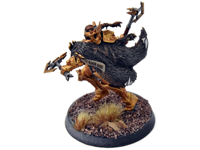 Games Workshop STORMCAST ETERNALS Neave Blacktalon #1 WELL PAINTED Sigmar