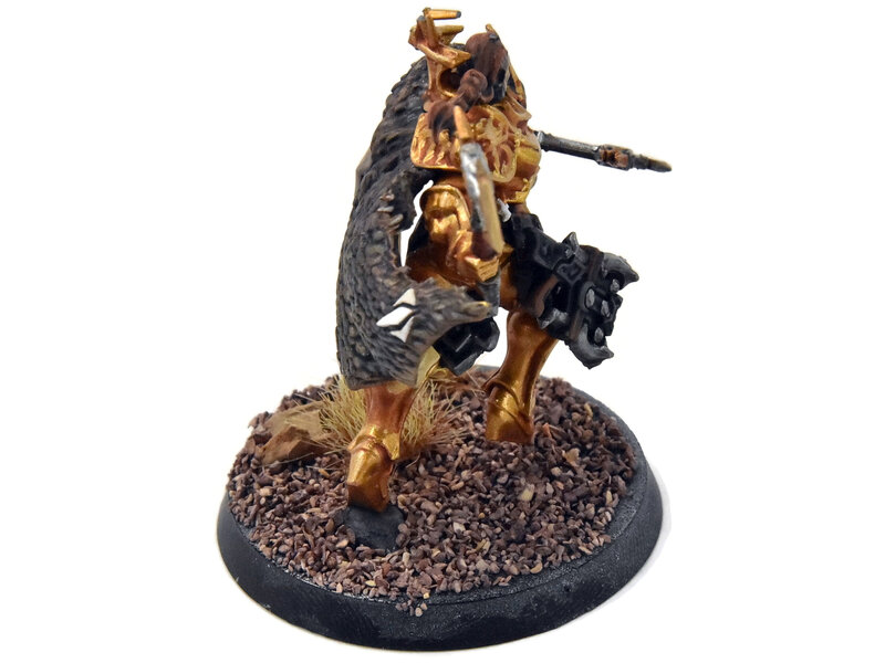 Games Workshop STORMCAST ETERNALS Neave Blacktalon #1 WELL PAINTED Sigmar