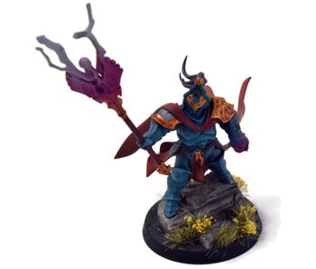 STORMCAST ETERNALS Lord Arcanum #1 Sigmar WELL PAINTED