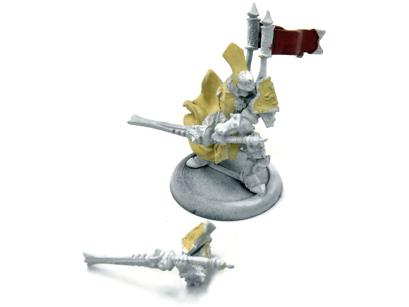 WARMACHINE Protectorate Of Menoth Knight Exemplar Senechal #1 METAL