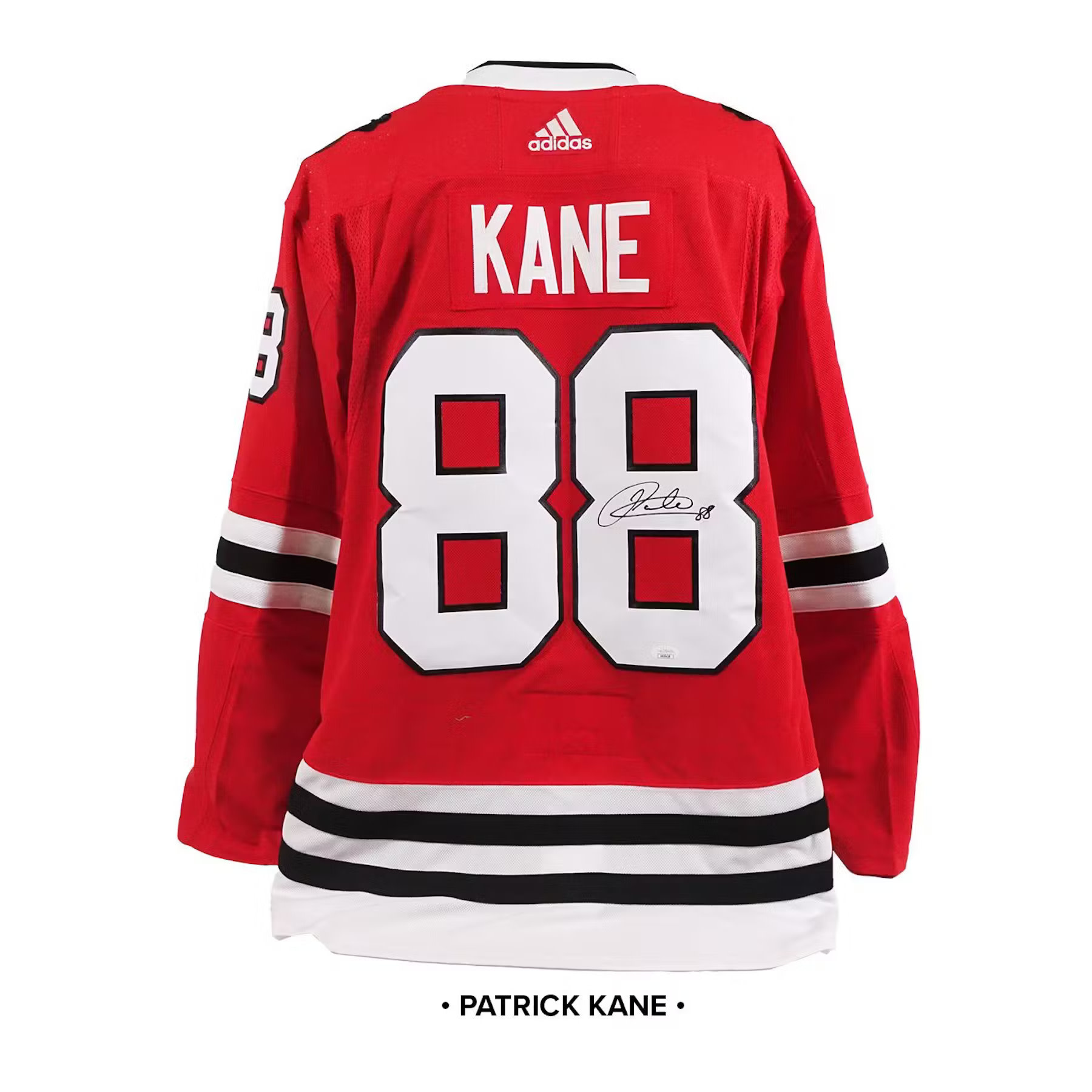 2023 24 Hit Parade Autographed Hockey Jersey OFFICIALLY LICENSED Series 3 Hobby Box Bedard Kane Kingdom of the Titans