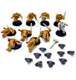 Games Workshop SPACE MARINES Imperial Fists 10 Assault Intercessors #2 missing heads 40K