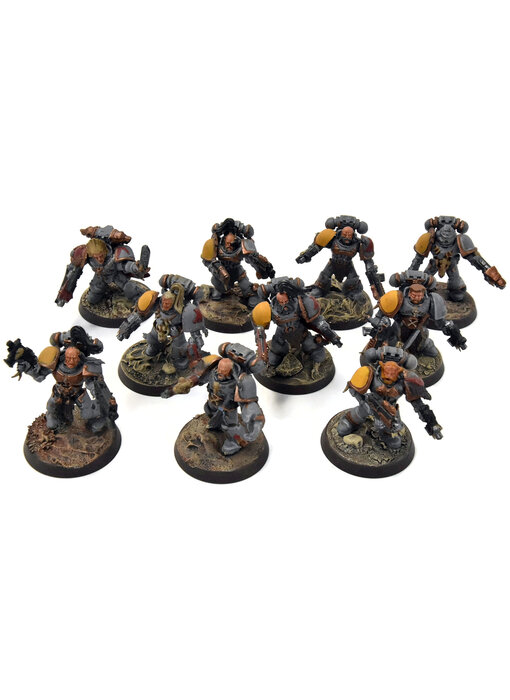 SPACE WOLVES 10 Grey Hunters #1 Warhammer 40K