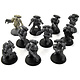 SPACE WOLVES 10 Intercessors #2 Warhammer 40K