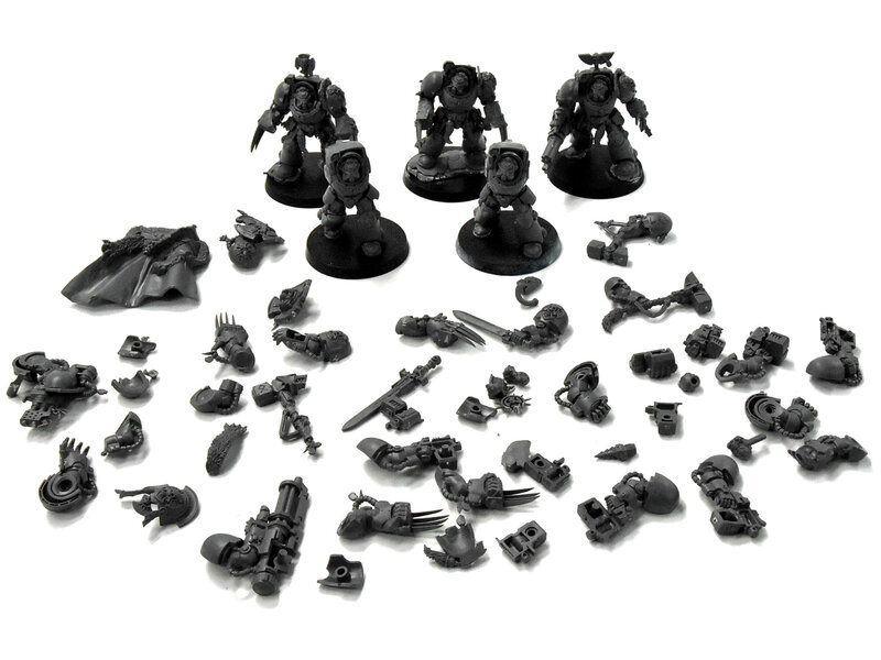 Games Workshop SPACE WOLVES 5 Wolf Guard #1 converted Warhammer 40K