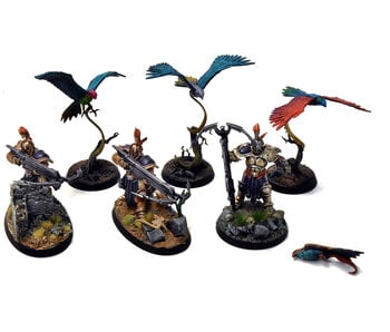 STORMCAST ETERNALS 6 Vanguard Raptors #1 WELL PAINTED Sigmar